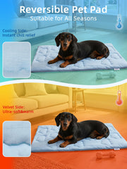 Huafly tapis utilisé sur canapé gardant le chien au frais