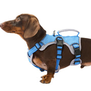 Huntboo image avant du harnais gilet montrant ajustement et protection