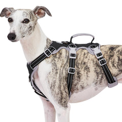 Huntboo harnais vue avant montrant le design sécurisant