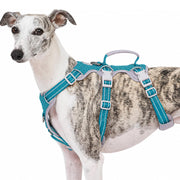 Huntboo harnais face avant teal, maintien sécurisé pour promenades
