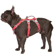 Huntboo harnais face avant montrant le design de gilet et maintien sûr