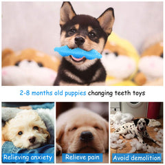 Hurray gros plan sur la texture et les 578 picots pour nettoyage buccal