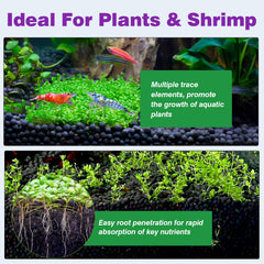 Hygger CO2 versement direct dans aquarium pour installation facile