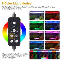 hygger gros plan sur les LED prouvant qualité et densité lumineuse