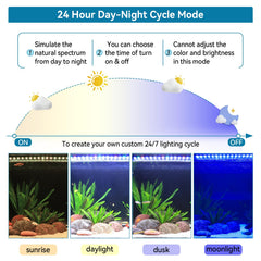 hygger gros plan des diodes LED montrant couleurs vives pour plantes