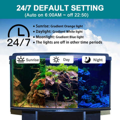 hygger lampe immergée dans un aquarium montrant éclairage uniforme bénéfice santé visuelle