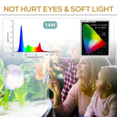 hygger lumière active dans aquarium planté, rend les couleurs naturelles