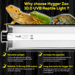 Hygger zoo réflecteur en alliage poli optimisant sortie UVB pour meilleure efficacité