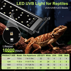 Hygger zoo gros plan LEDs montrant spectre plein pour observation nette