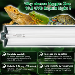 Hygger Zoo tube UVB 10.0 en détail pour éclairage haute sortie