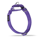 Hyhug collier martingale violet vue face montrant le design sécurisé