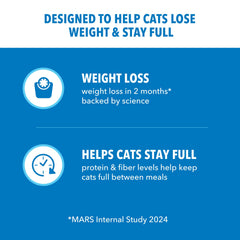 IAMS bol rempli avec croquettes en usage bénéfice appétence et satiété durable