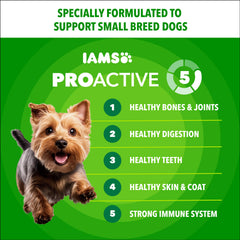 IAMS gros plan croquette texture aidant mastication et réduction plaque