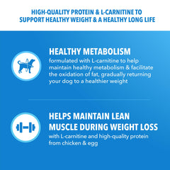 IAMS croquettes servies dans un bol pour portion équilibrée