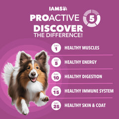 IAMS gros plan granule croquante pour meilleure hygiène buccale