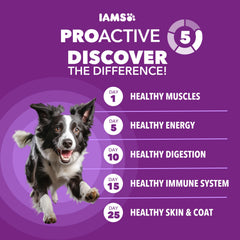 IAMS gros plan croquette montrant texture et qualité pour digestion facile