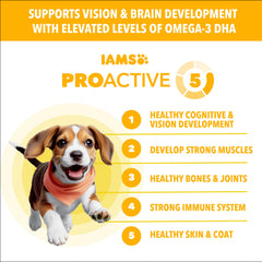IAMS gros plan sur texture des croquettes bénéfice appétence et qualité