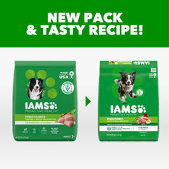 IAMS gros plan des croquettes montrant texture et qualité de la nourriture
