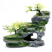 IBWell décor aquarium vue de face montrant grotte et arbre pour cachette