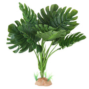 IBWell Monstera face avant ajout décor naturel et ombrage sécurisant
