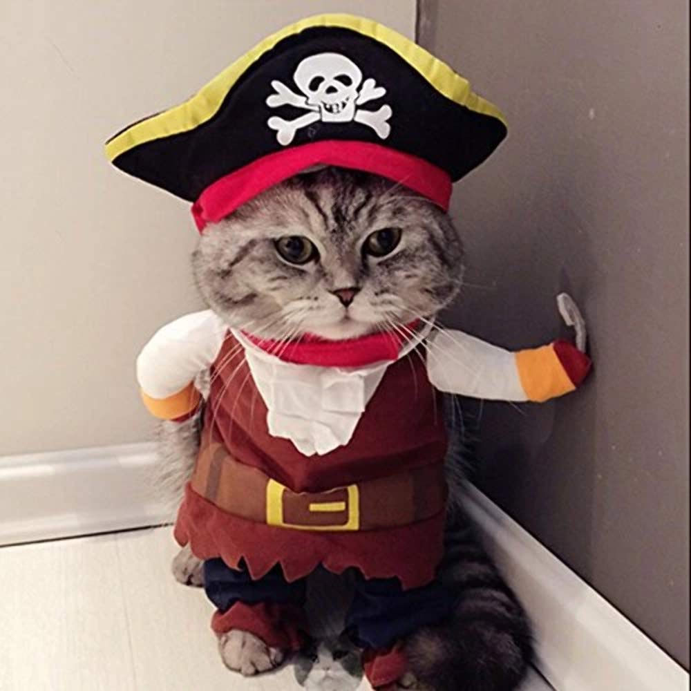 Idepet costume pirate face avant montrant le style ludique et visible