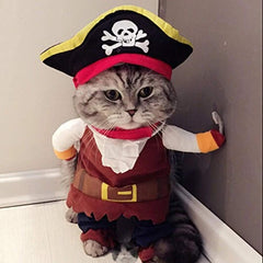 Idepet costume pirate face avant montrant le style ludique et visible