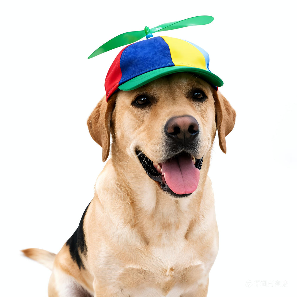 Ifnov chapeau face verte montrant couleurs vives et confort