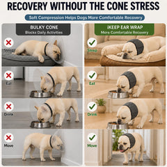 iKeep en usage sur chien stabilisant l'oreille pendant convalescence