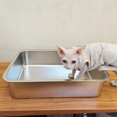 ikitchen gros plan coin arrondi sécurise les mains et animaux