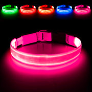 Illumifun collier face avant rose montrant visibilité et sécurité