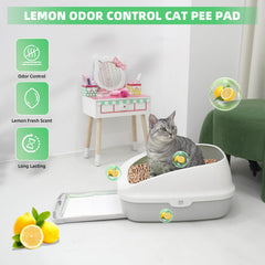 IMMCUTE coupe transversale montrant le cœur SAP très absorbant
