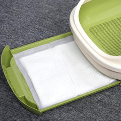 IMMCUTE noyau SAP en coupe, gélifie l'urine pour retenir l'humidité