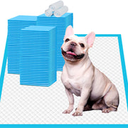IMMCUTE emballage 150 unités montrant quantité pratique