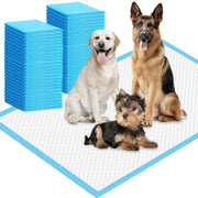 IMMCUTE image du packaging avant montrant le format jumbo et l'information clef