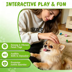 INSUM chien joue balle sifflante durant fetch pour exercice