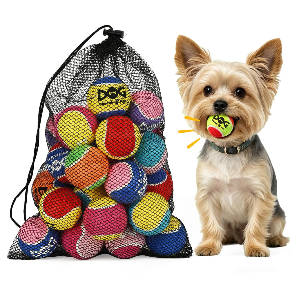 INSUM balle frontale paquet 24 couleurs vives pour jeu durable