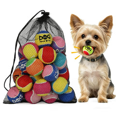 INSUM balle frontale paquet 24 couleurs vives pour jeu durable