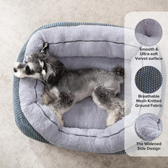 INVENHO gros plan peluche douce offrant apaisement au chien
