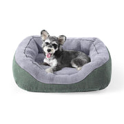 invenho lit petit chien face avant montrant confort et design