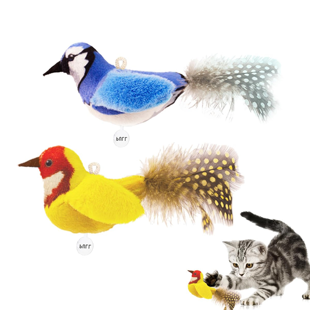 ipawspace image frontale du jouet oiseau montrant emballage et bénéfice attractif