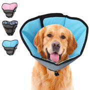 ipetstation collerette face avant montrant protection et maintien