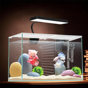 iPriro vue avant du nano aquarium montrant design élégant et couvercle sécurisé