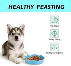 ITISMUNGO gamelle utilisée par un Corgi pour réduire la vitesse d'alimentation