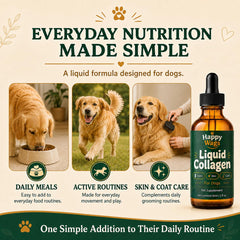 IvaKey Happy Wags gros plan de la texture liquide pour administration facile