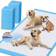 iweepet emballage avant montrant 40 pièces pour protection pratique