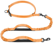 iYoShop laisse rétractable face vue du boîtier orange offrant contrôle sécurisé