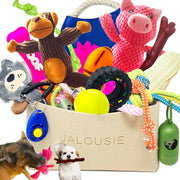 Jalousie face du coffret 24 pièces montrant variété et valeur