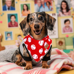 JarThenaAMCS bandana porté par chien ajoutant look sportif visible