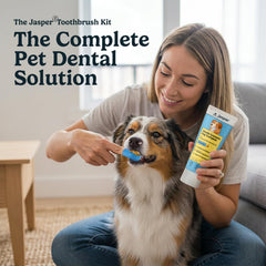 Jasper dentifrice poulet gros plan montrant texture appétente et attractivité
