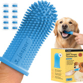Jasper emballage avant lot de 10 bleu pour hygiène dentaire